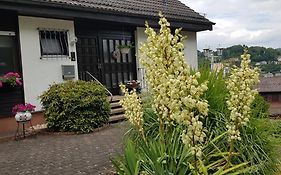 Ferienwohnung Wahlich